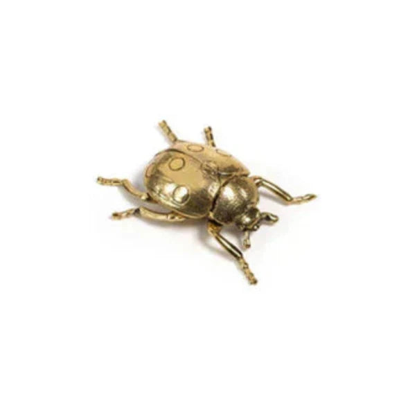 Zodax Decorative Gold Ladybug