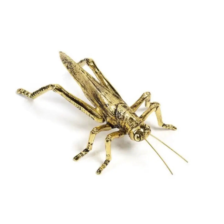 Decorative Grasshopper gold - Lucky Home Accent Piece