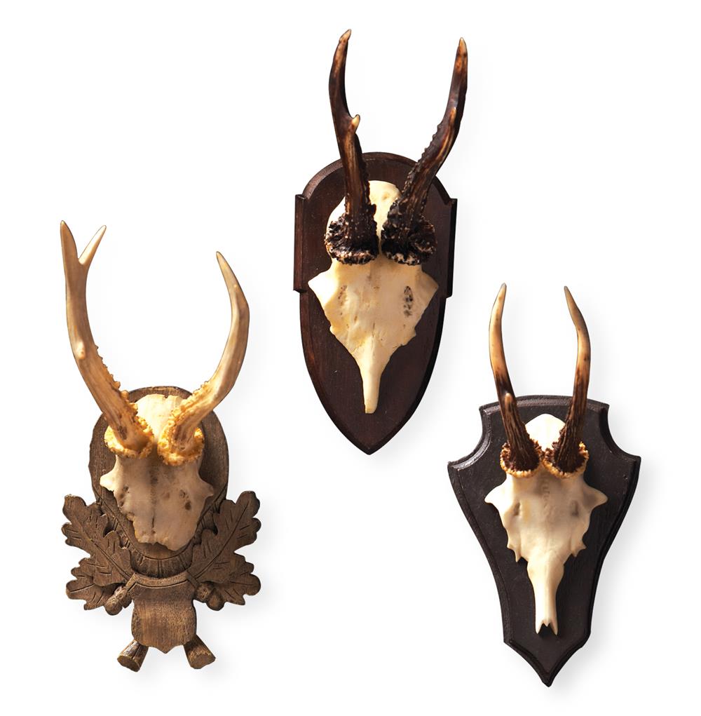 hunt club set of 3 antler trophy