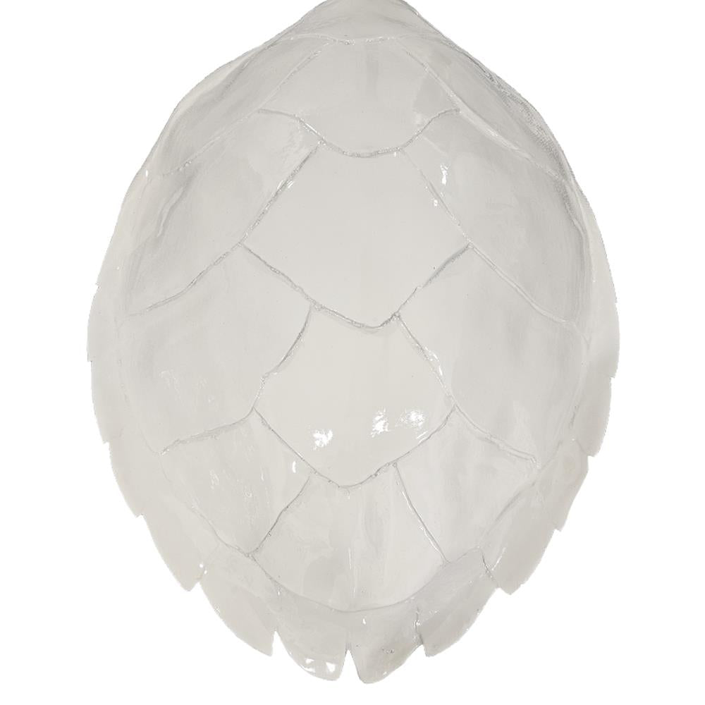 A white turtle shell